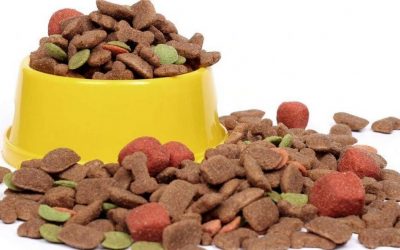 SAG Informa: Ampliación de retiro de mercado de alimentos para mascotas CANNES, CHARLY, ACUENTA, FELINNES y MINNINOS