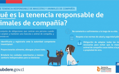 Ley 21020 sobre tenencia responsable de mascotas y animales de compañía