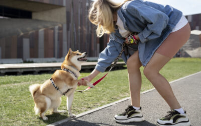 Por qué es mejor usar un arnés en lugar de un collar para tu perro?
